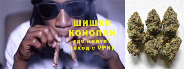 сатива Нягань