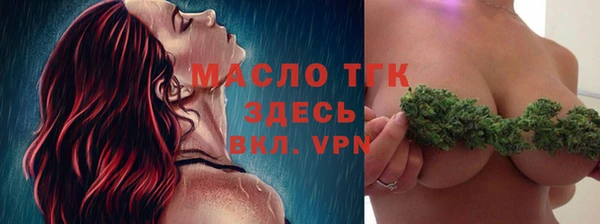 соль ск Няндома