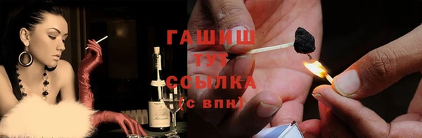 соль ск Няндома