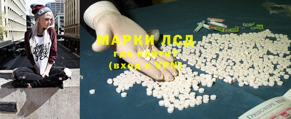 прущие грибы Нязепетровск