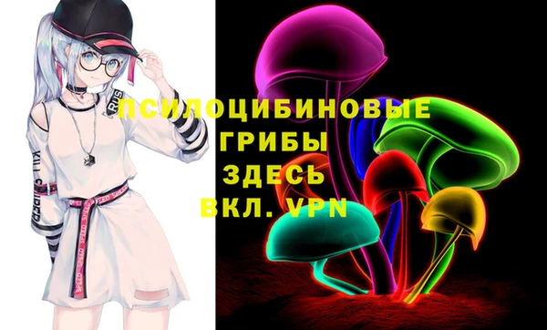 сатива Нягань