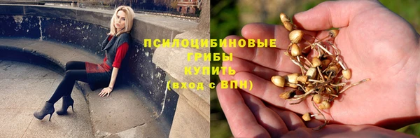 прущие грибы Нязепетровск