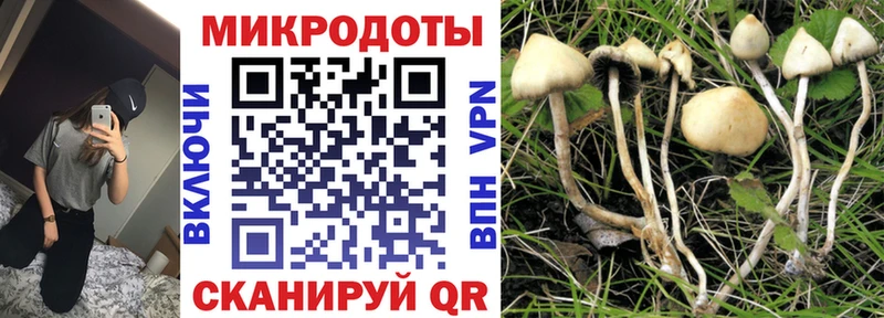 где купить наркотик  Владикавказ  Галлюциногенные грибы Cubensis 