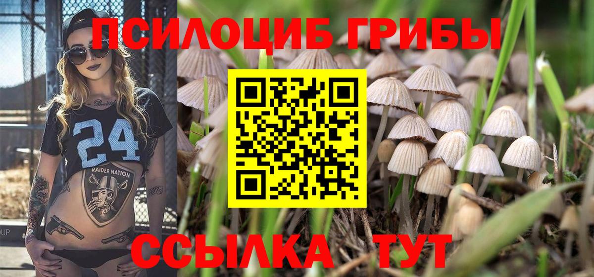 Галлюциногенные грибы мухоморы  Вход с VPN  Владикавказ 